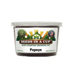 Papaya Grow Kit | Grow Your Own Papaya from Seed | Seeds In A Cup®