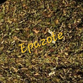 Epazote | Digestive Cleanser & Parasite Support