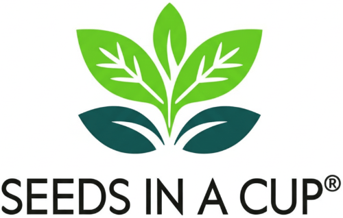 Oregano Grow Kit | Grow Fresh Oregano from Seed | Seeds In A Cup®