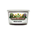 Watermelon Grow Kit | Grow Crimson Sweet Watermelon from Seed | Seeds In A Cup®