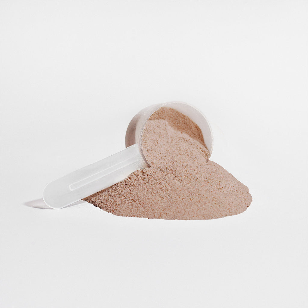 Choclean Plant Protein (Chocolate) | 29.99 oz