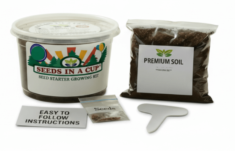 Money Plant Grow Kit | Grow Your Own Money Plant Anytime   | All In One Seed Grow Kit