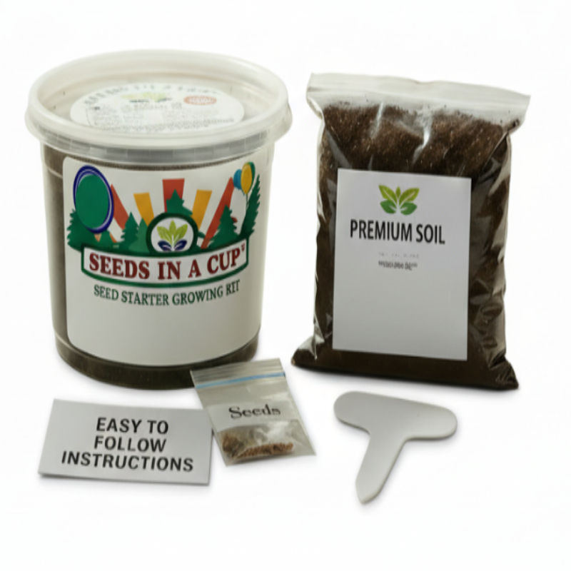 Onion Grow Kit | Grow Onion from Seed | Seeds In A Cup®