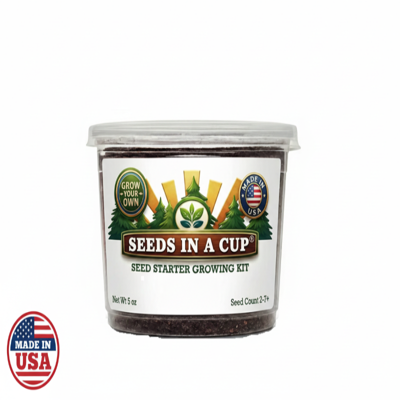 Macadamia Nut Tree Grow Kit | Grow Macadamia from Seed | Seeds In A Cup®