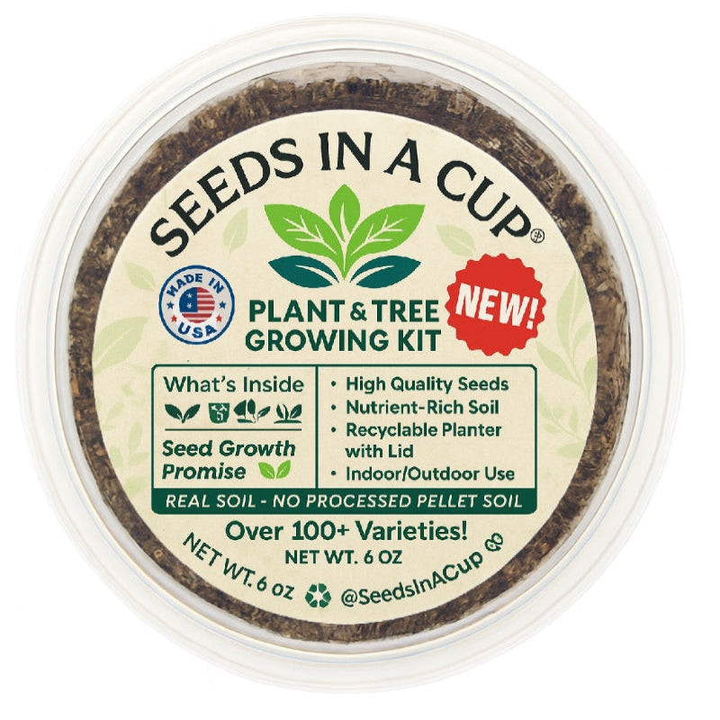 Orange Tree Grow Kit | Grow Your Own Oranges from Seed | Seeds In A Cup®
