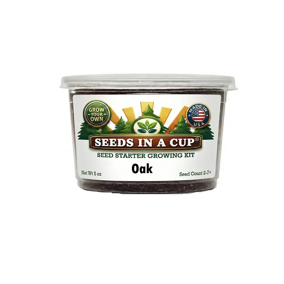 Oak Tree Grow Kit – White Oak (Quercus alba) Seed Starter