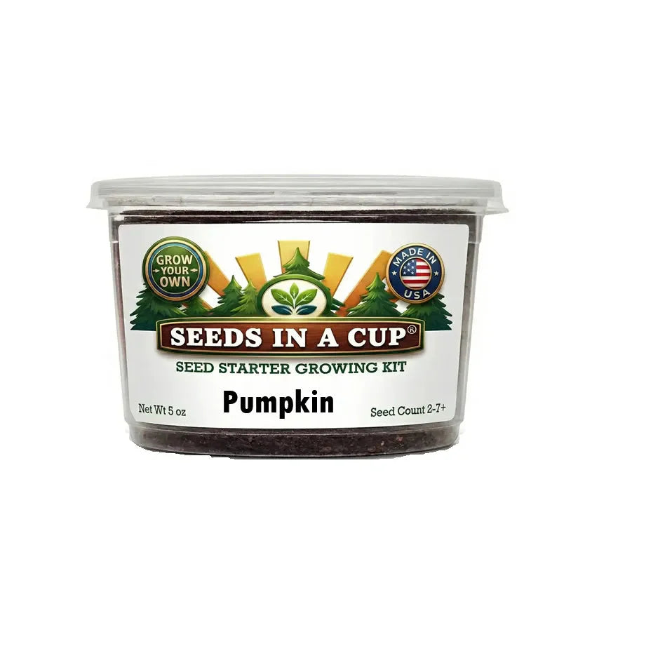 Pumpkin Grow Kit | Grow Pumpkin from Seed | Seeds In A Cup®