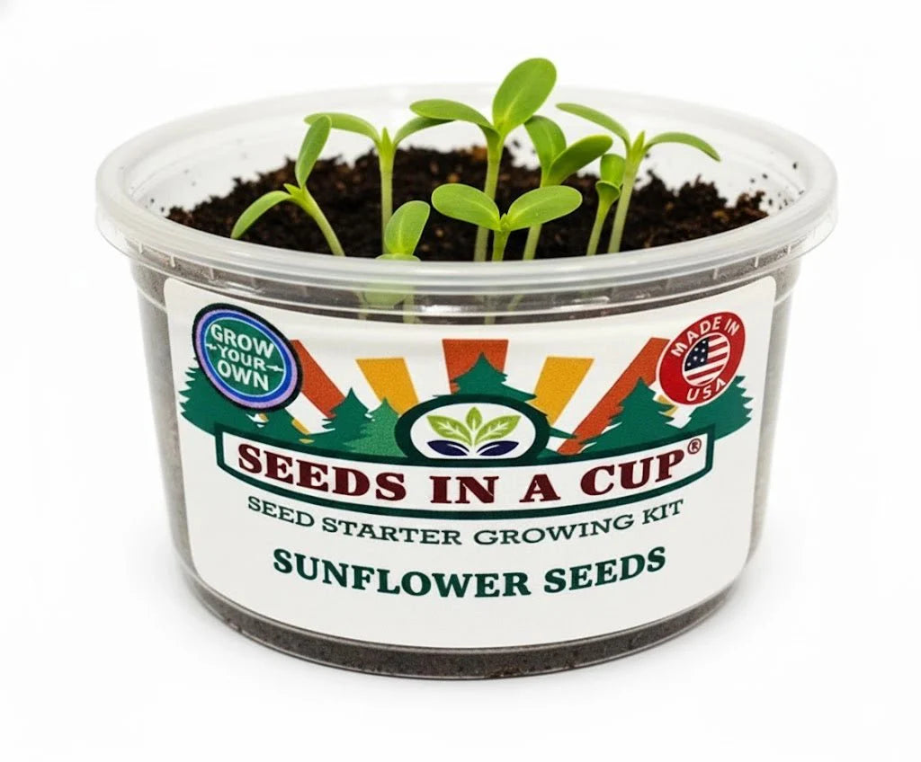 Sunflower Grow Kit | Grow Giant Sunflowers from Seed | Seeds In A Cup®