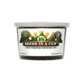 American Sycamore Tree Grow Kit | Grow American Sycamore Tree from Seed | Seeds In A Cup®