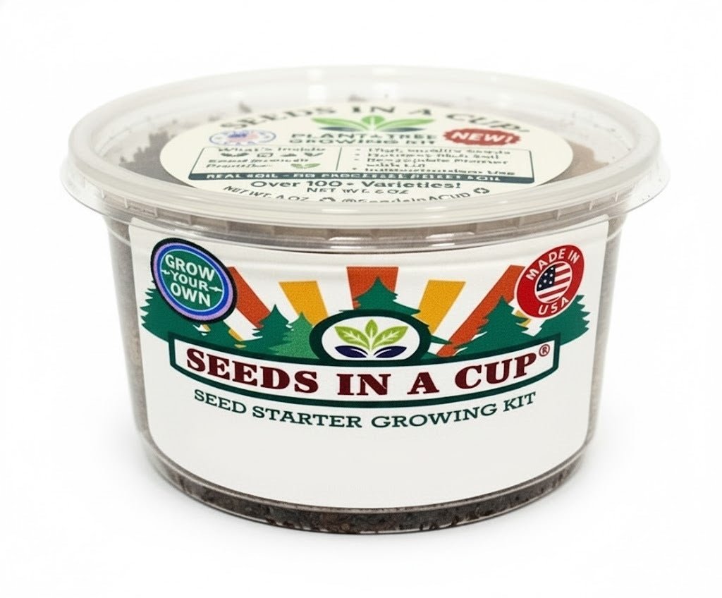 Lemon Balm Grow Kit | Grow Fresh Lemon Balm from Seed | Seeds In A Cup®