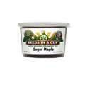 Sugar Maple Tree Grow Kit | Grow Sugar Maple from Seed | Seeds In A Cup®