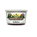 Sunflower Grow Kit | Grow Giant Sunflowers from Seed | Seeds In A Cup®