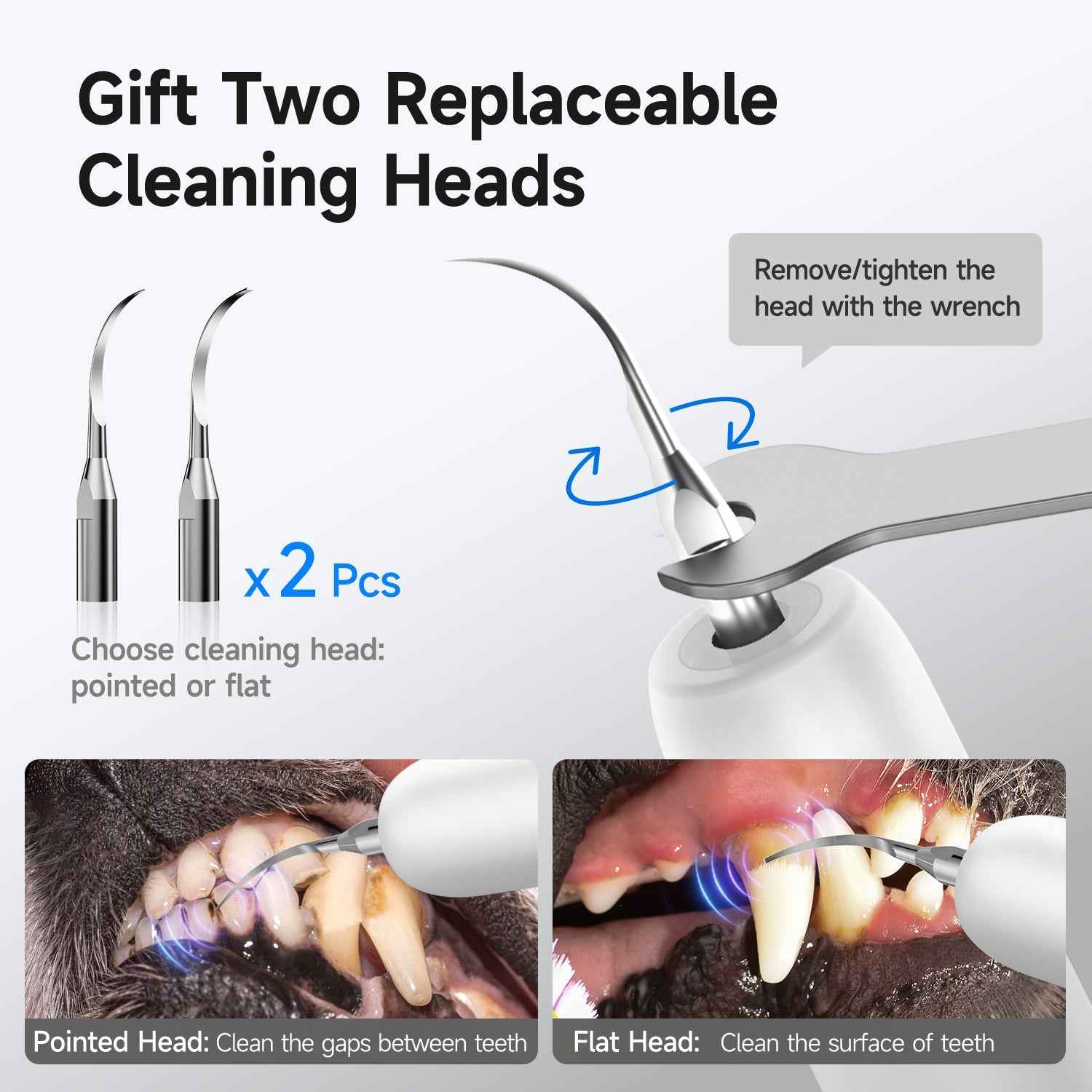 T5 Pet Ultrasonic Tooth Cleaner | Safe Dental Care for Dogs & Cats