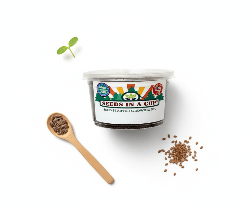 Lettuce Grow Kit | Grow Lettuce from Seed | Seeds In A Cup®